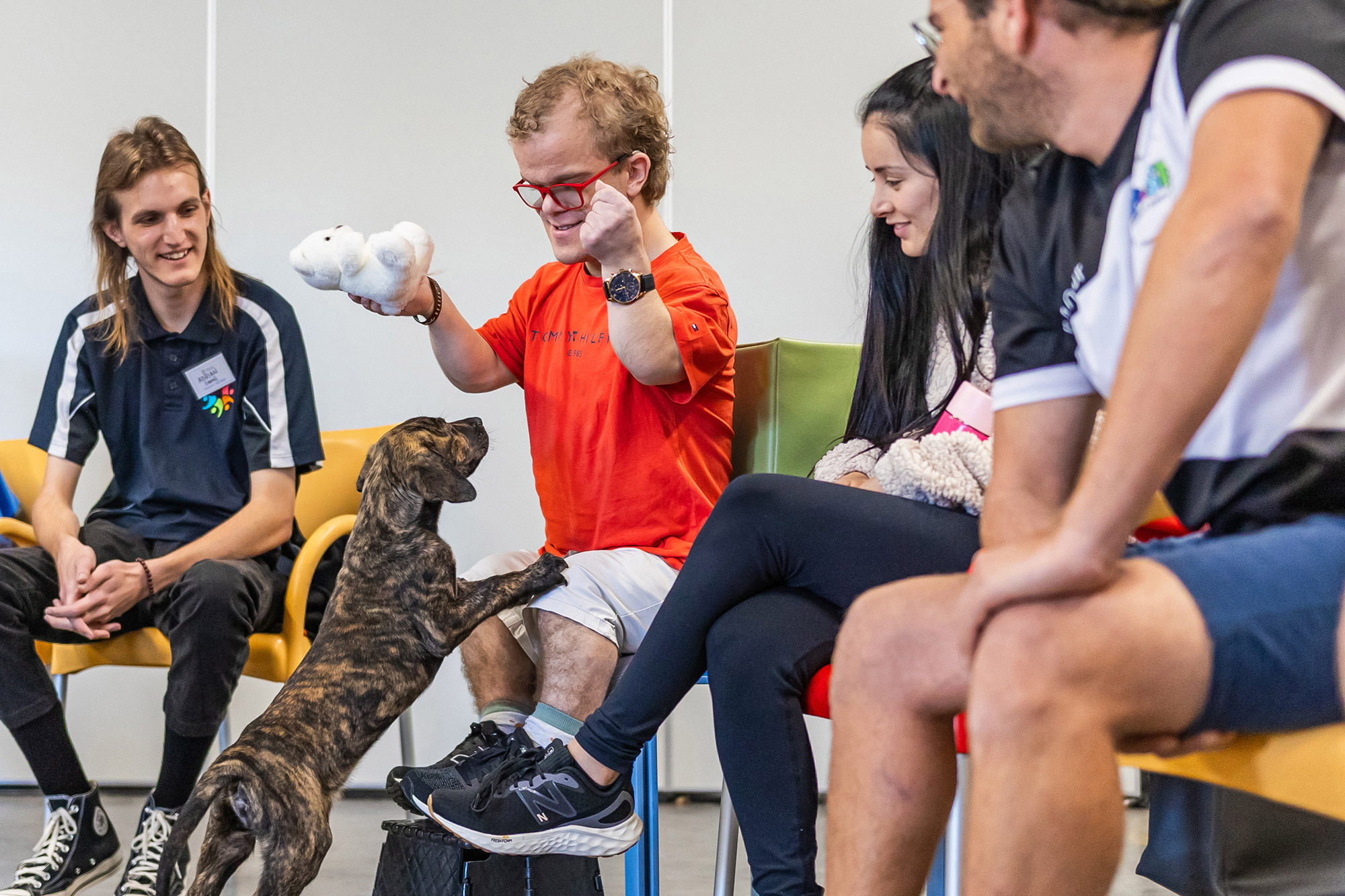 Happy Paws Happy Hearts